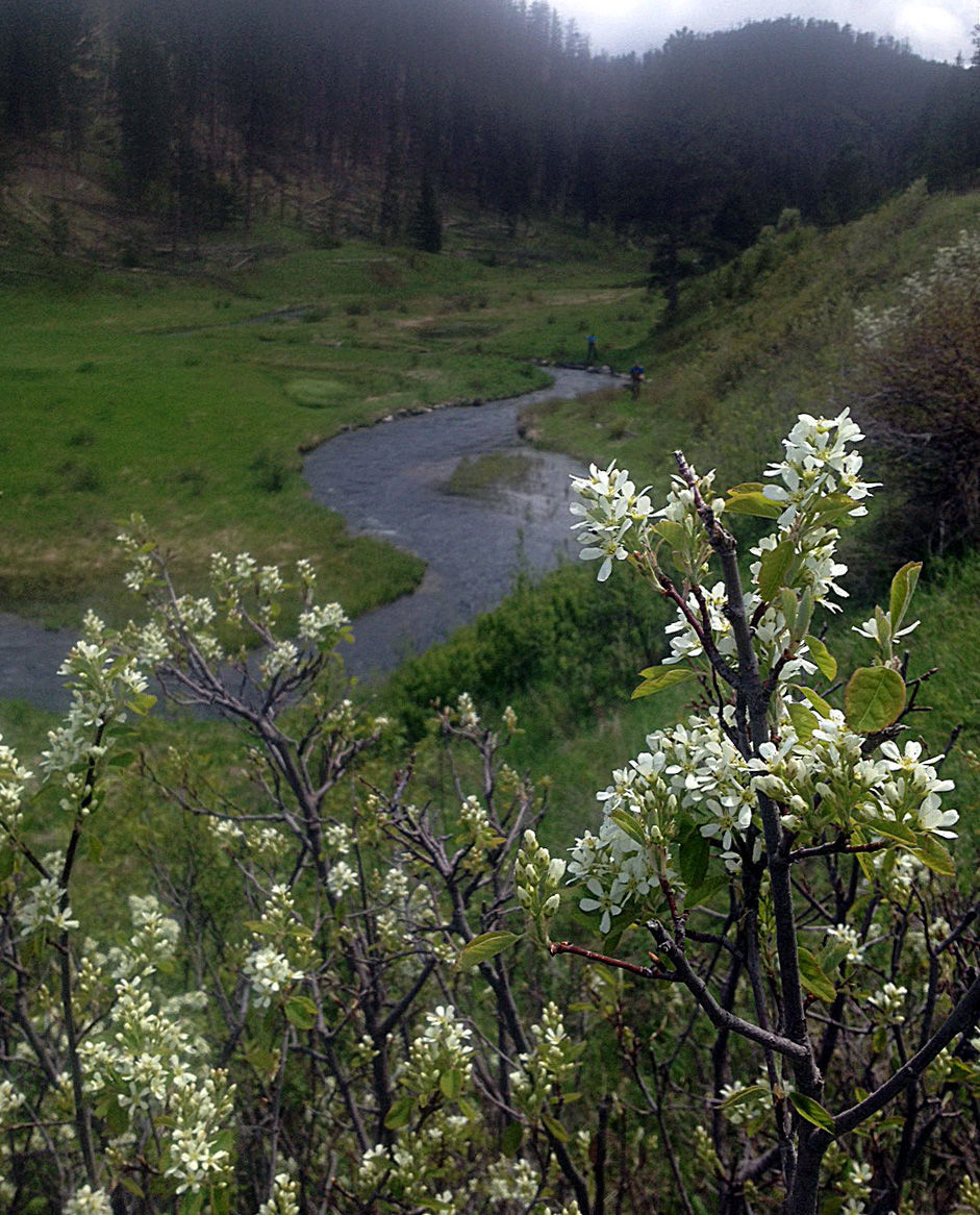 No. 89: Kinney Canyon